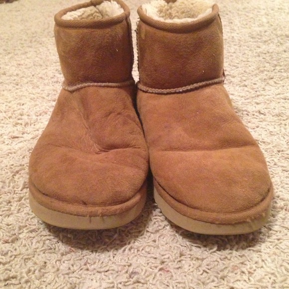 Uggs (Chestnut) short