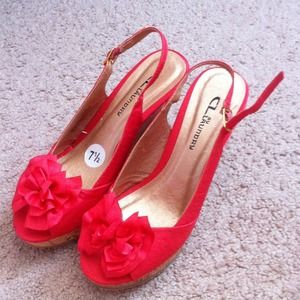 Beautiful Coral wedges