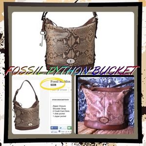 ♥ FOSSIL PYTHON BUCKET♥