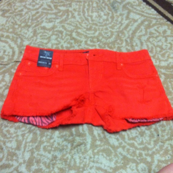 BUNDLE LIMITED TIME ONLY! - Picture 3 of 4