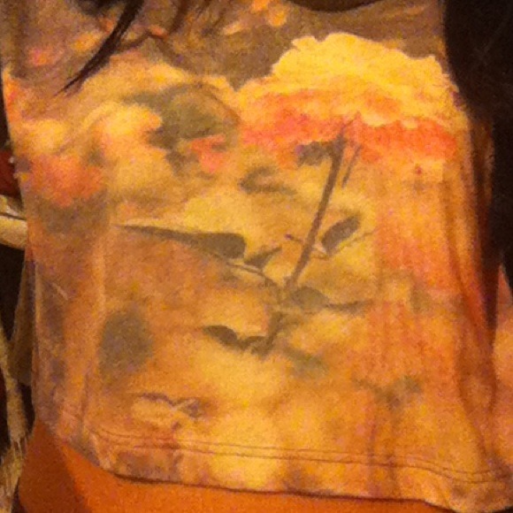 Crop Top - Picture 2 of 2
