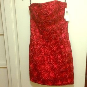 Jessica McClintock Dress