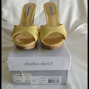 Stuart Weitzman 'Pristine' Gray Flannel Pump - NIB