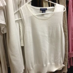 Ann Taylor Sweater