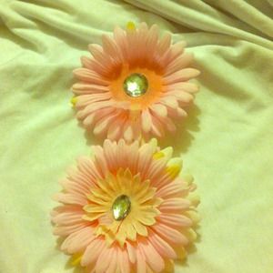 Hair clips, set of 2. Large pink daisies.