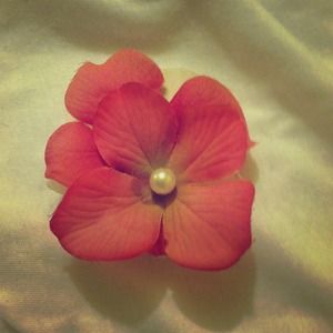 Exotic pink hair clip.