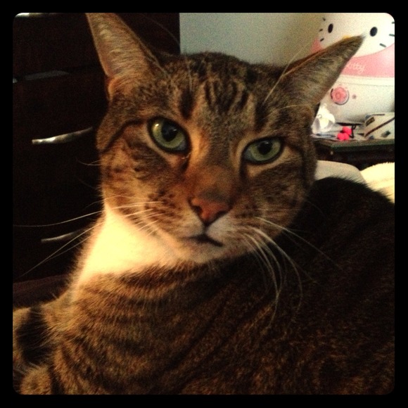 Rest in peace, my beautiful baby