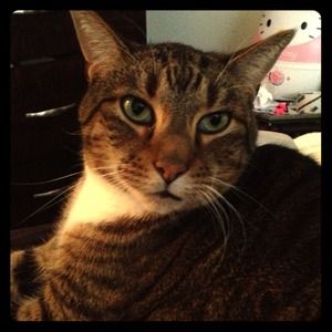 Rest in peace, my beautiful baby