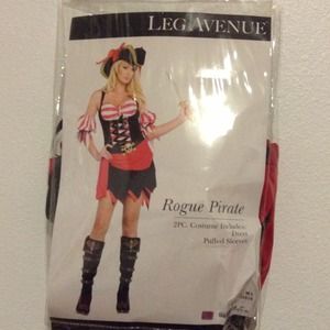 Rogue Pirate Costume