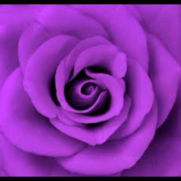 💜 BUYER'S - FEED BACK 💜