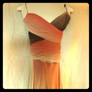 BCBG Chiffon Dress