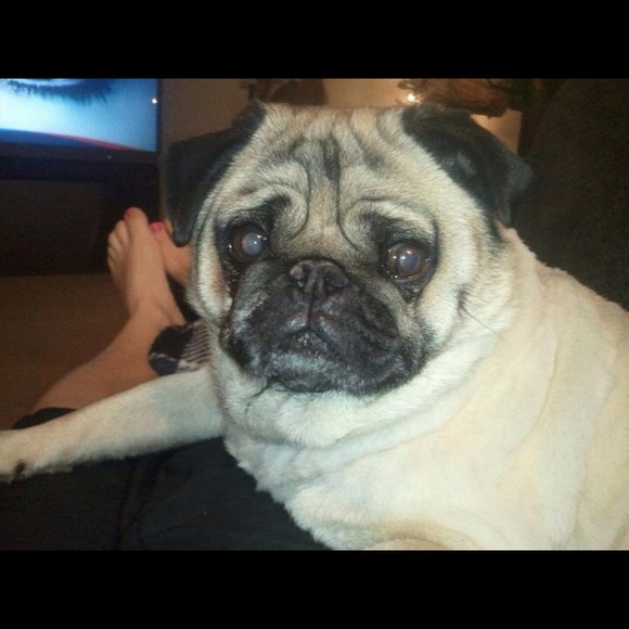 Meet my baby!!!!