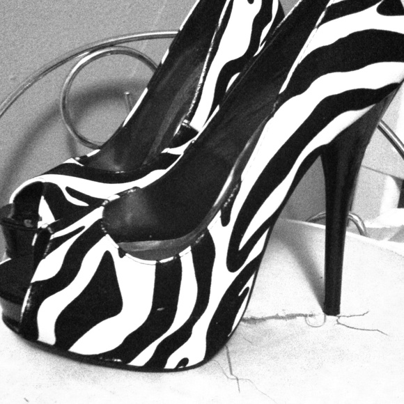 Zebra heels - Picture 1 of 3