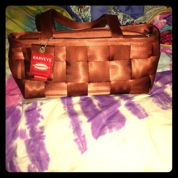 Harvey's seatbelt bag burnt orange purse