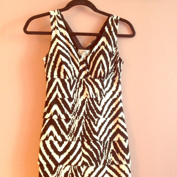 Animal Print Stretch Dress