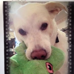 My daughter, Missy