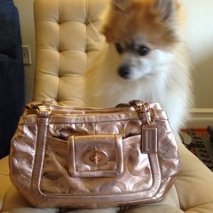 💯%Coach bag 🔥low price 🔥and black dress