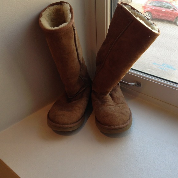 Tall Chestnut Uggs