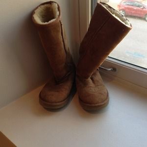 Tall Chestnut Uggs
