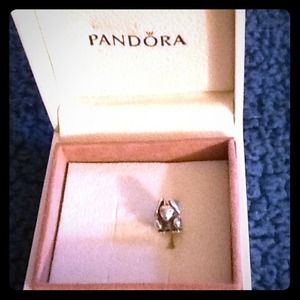 Pandora Charm