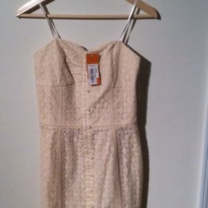 🌟🌟🌟BCBG dress