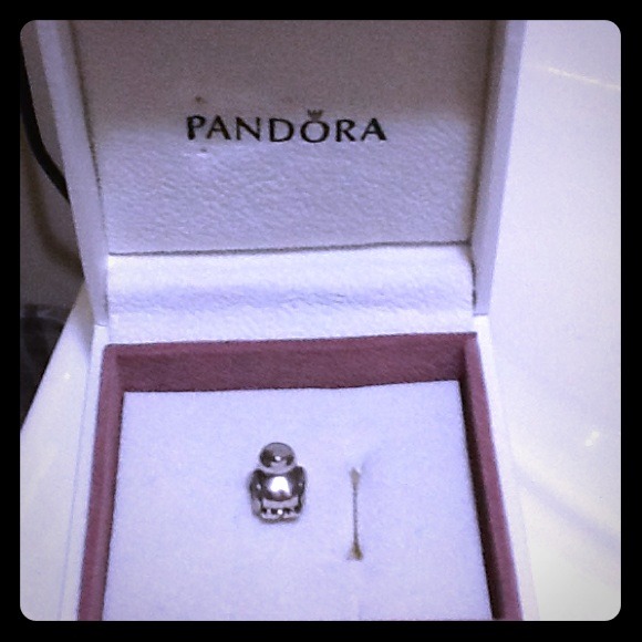 Pandora charm 925 Ale.