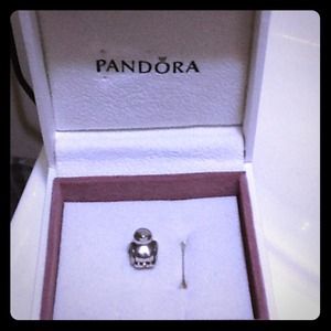 Pandora charm 925 Ale.