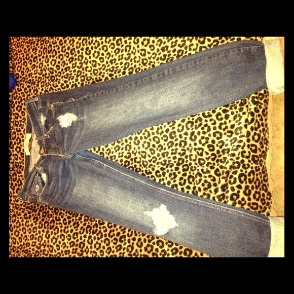 Hollister jeans Cali