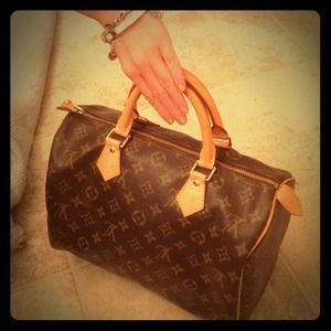 LV Speedy handbag