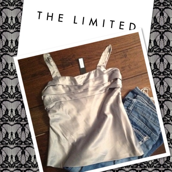 🚫SOLD🚫NWT The Limited silver sleeveless top M 💋