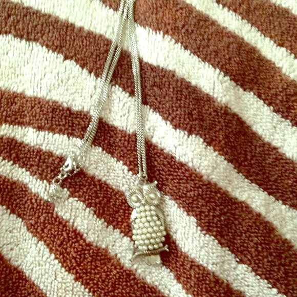 Cute silver owl necklace!