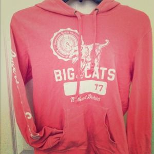AE hoodie.