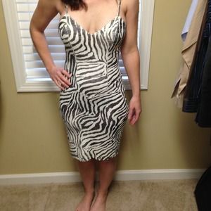 Vintage Janine Zebra Dress