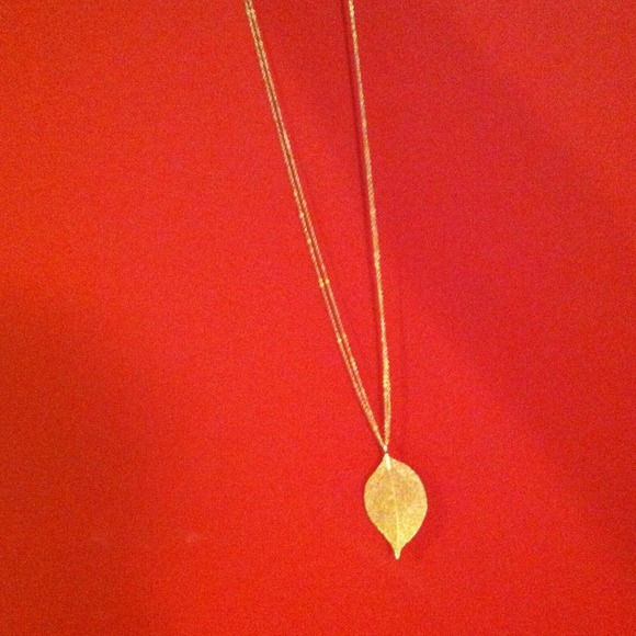 Beautiful leaf necklace!