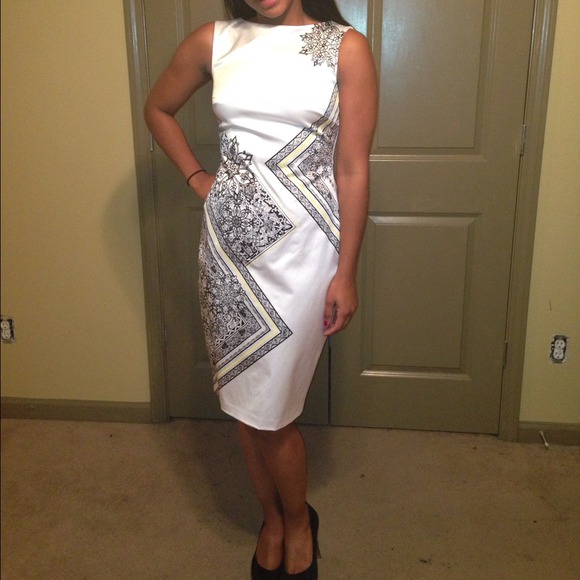 Cache Beautiful Sheath Dress - Picture 3 of 4