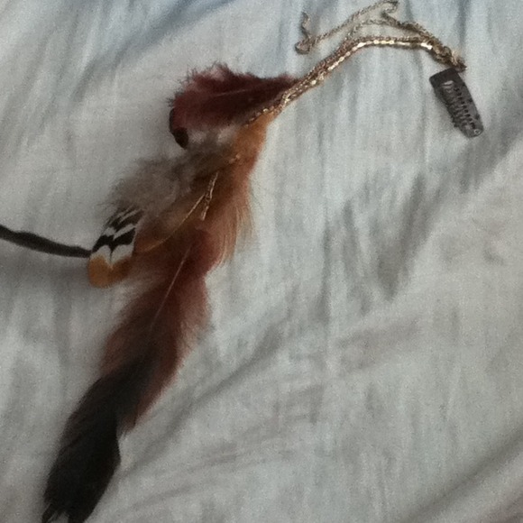 Feather extension