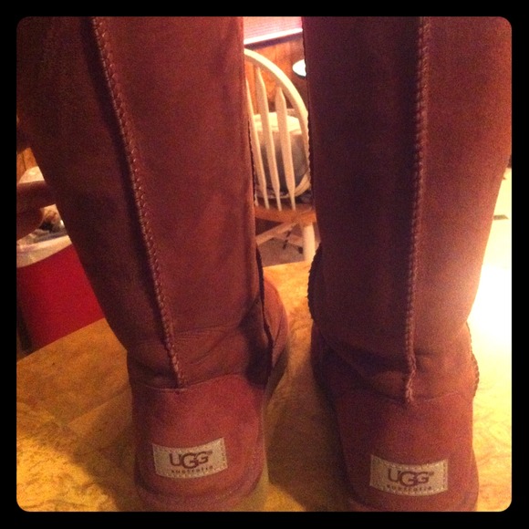 Tall auburn uggs