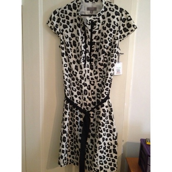 Ruffle Shirt Dress