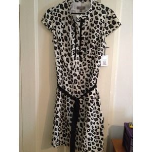 Ruffle Shirt Dress