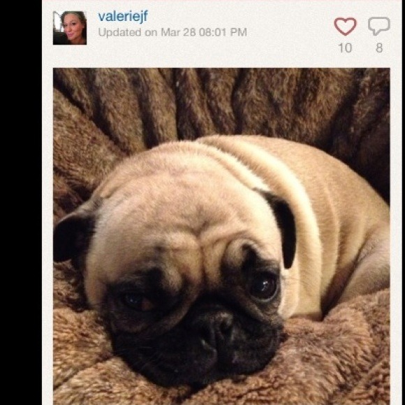 4/5 Pic of the Day, follow the momma: @valeriejf - Picture 1 of 1
