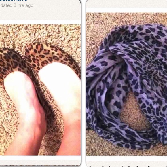 Cheetah bundle