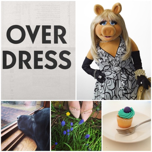 🌟Meet Your Seller🌟 My Life in Photos - Picture 3 of 4