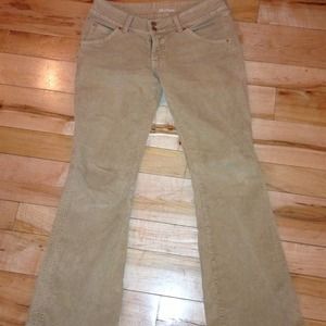 Beautiful tan Hudson Cords