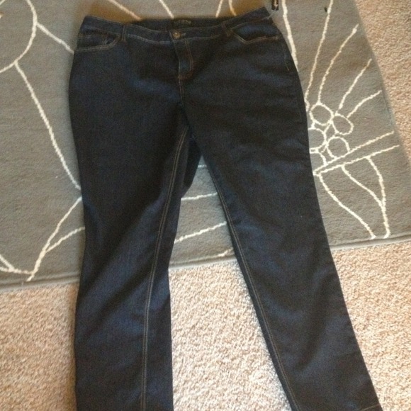 Lane Bryant dark wash skinny jeans
