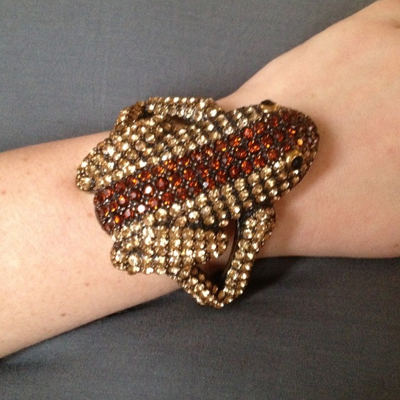 Beautiful frog bracelet