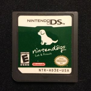 Nintendo DS Game
