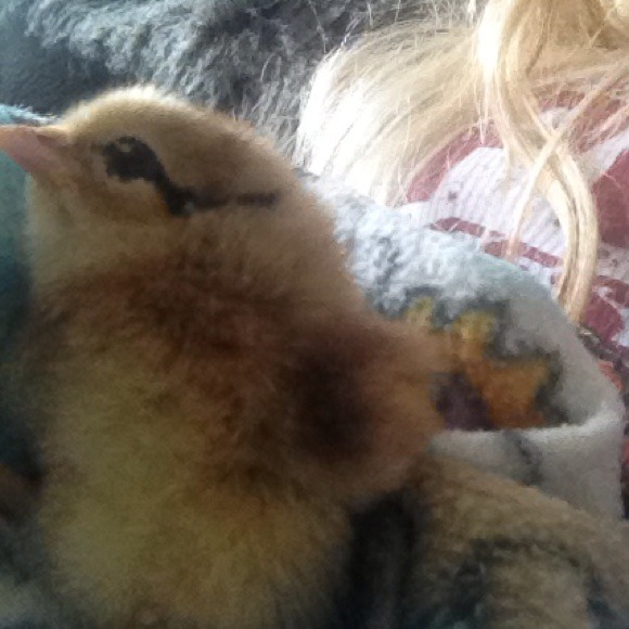 πππππππππππππ - Picture 2 of 3