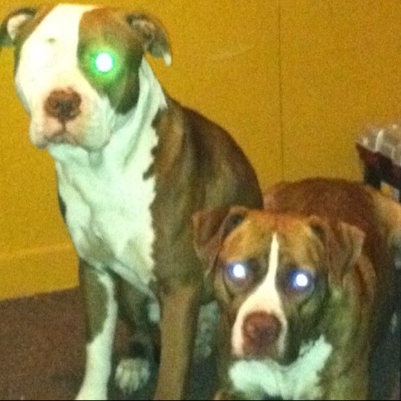 My Baby Boys