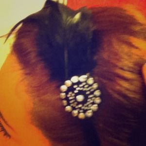 Feather head band