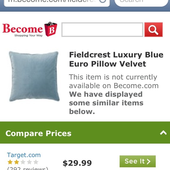 LOOKING FOR THIS EURO PILLOW - Picture 1 of 1